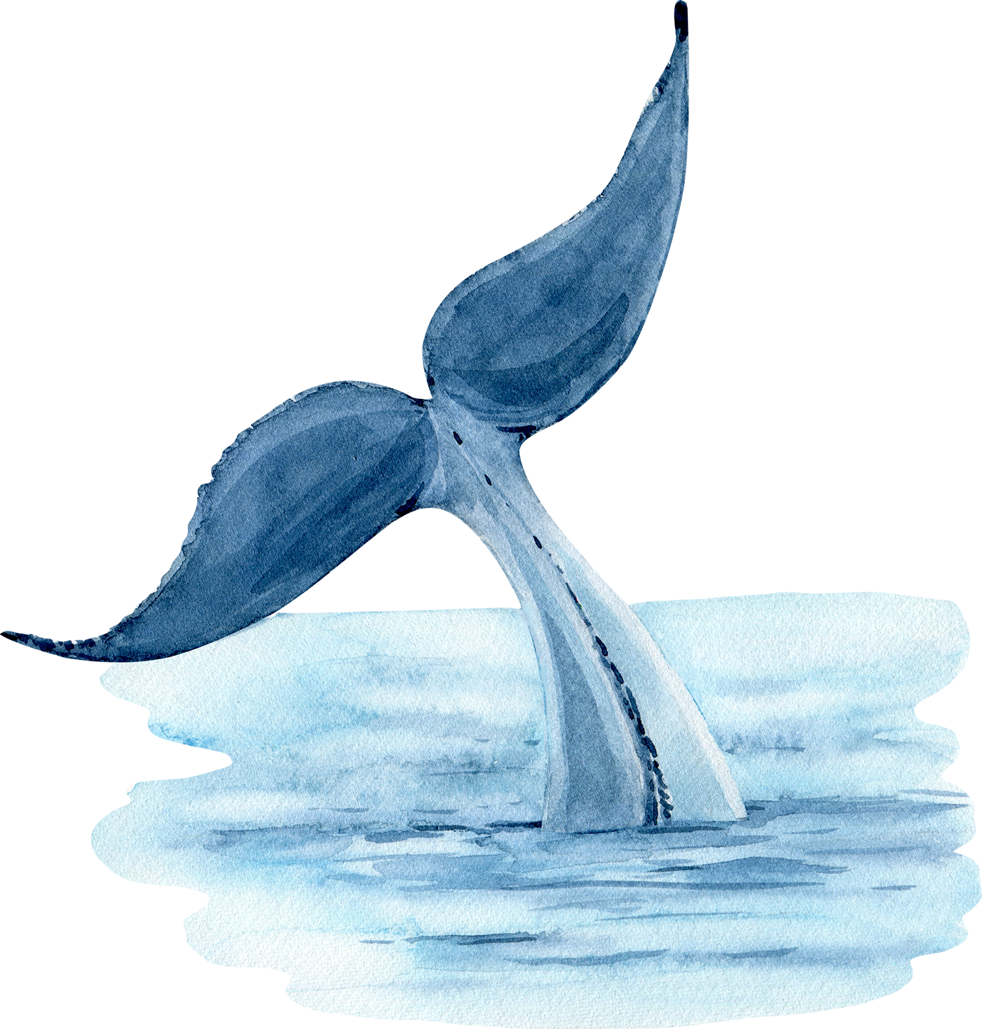 Watercolor Illustration of Blue Whale Tail from the Ocean